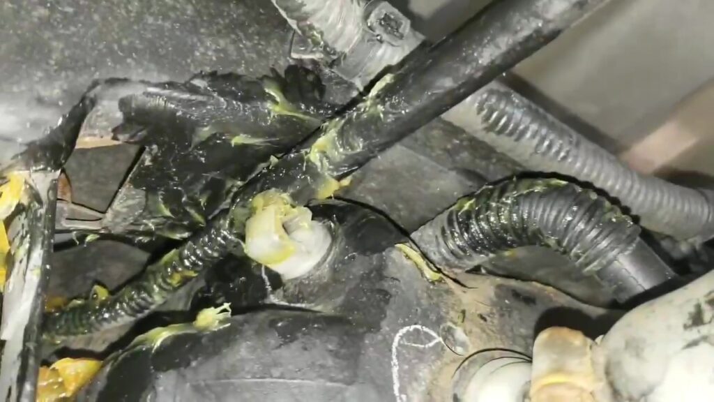 grease on vac line repair moment Auto Repair Car Repair Shops